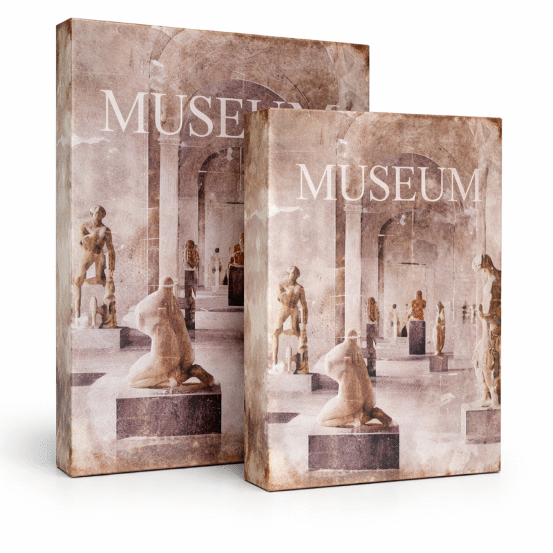 Caja libro decorativa set x2