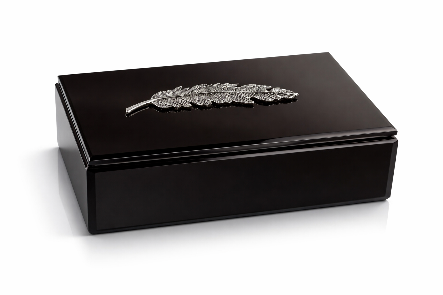 Caja deco negra con pluma 25x14