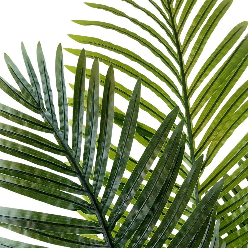 Palmera decorativa - Imagen 3